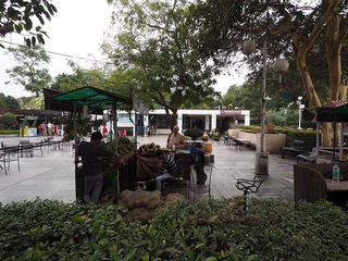 P3030228 のコピー.jpg