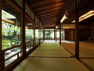 P8030028.JPG