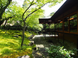 P8030111.JPG